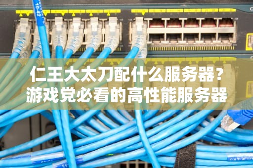 仁王大太刀配什么服务器？游戏党必看的高性能服务器选购指南！