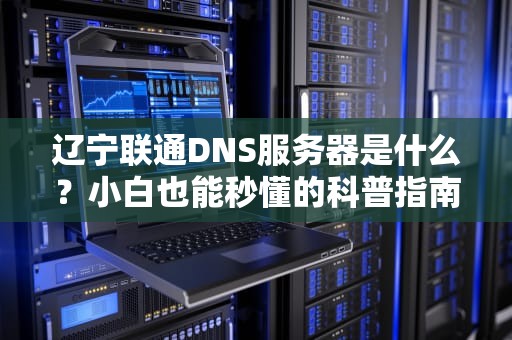 辽宁联通DNS服务器是什么？小白也能秒懂的科普指南！