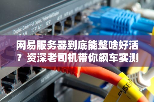 网易服务器到底能整啥好活？资深老司机带你飙车实测！
