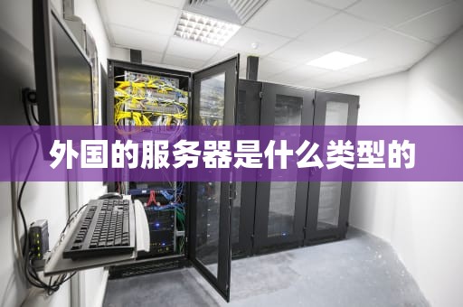 外国的服务器是什么类型的