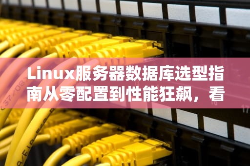 Linux服务器数据库选型指南从零配置到性能狂飙，看完这篇就够了！