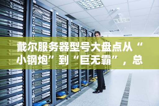 戴尔服务器型号大盘点从“小钢炮”到“巨无霸”，总有一款适合你！