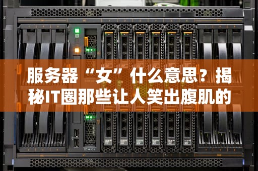 服务器“女”什么意思？揭秘IT圈那些让人笑出腹肌的行业黑话！