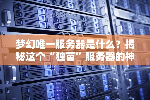 梦幻唯一服务器是什么？揭秘这个“独苗”服务器的神奇之处！