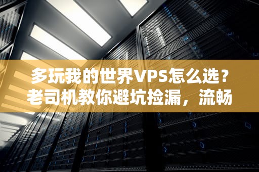 多玩我的世界VPS怎么选？老司机教你避坑捡漏，流畅联机不卡顿！
