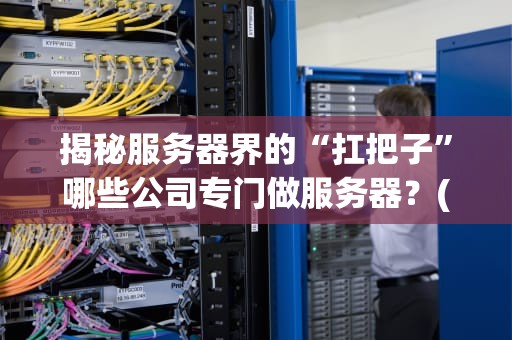揭秘服务器界的“扛把子”哪些公司专门做服务器？(附选购指南)