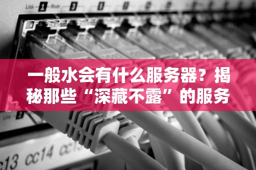 一般水会有什么服务器？揭秘那些“深藏不露”的服务器冷知识！