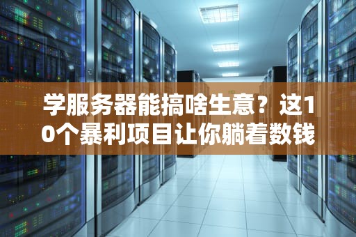 学服务器能搞啥生意？这10个暴利项目让你躺着数钱！