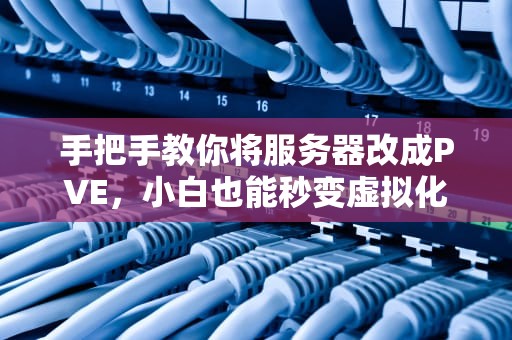 手把手教你将服务器改成PVE，小白也能秒变虚拟化大神！