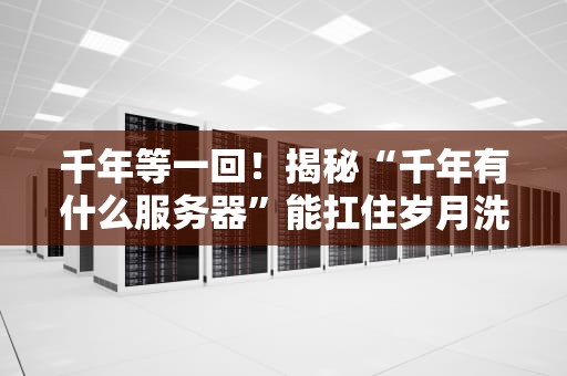 千年等一回！揭秘“千年有什么服务器”能扛住岁月洗礼？