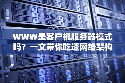 WWW是客户机服务器模式吗？一文带你吃透网络架构的外卖小哥和餐厅老板！