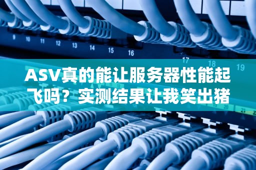 ASV真的能让服务器性能起飞吗？实测结果让我笑出猪叫！