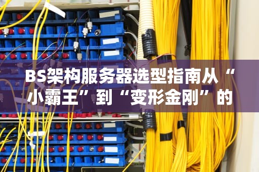 BS架构服务器选型指南从“小霸王”到“变形金刚”的终极对决