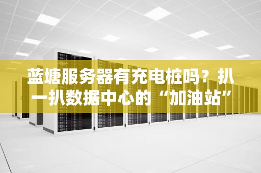 蓝塘服务器有充电桩吗？扒一扒数据中心的“加油站”真相！