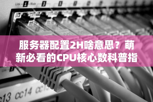 服务器配置2H啥意思？萌新必看的CPU核心数科普指南！