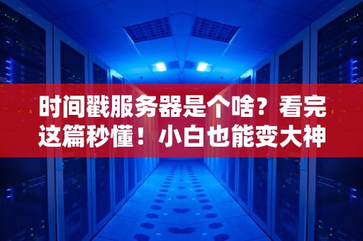 时间戳服务器是个啥？看完这篇秒懂！小白也能变大神！