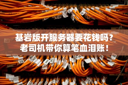 基岩版开服务器要花钱吗？老司机带你算笔血泪账！
