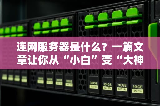 连网服务器是什么？一篇文章让你从“小白”变“大神”！