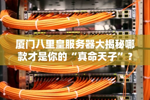厦门八里皇服务器大揭秘哪款才是你的“真命天子”？