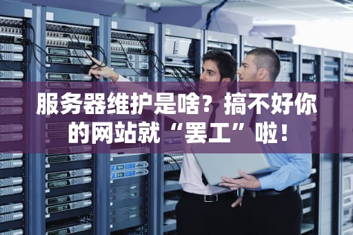 服务器维护是啥？搞不好你的网站就“罢工”啦！