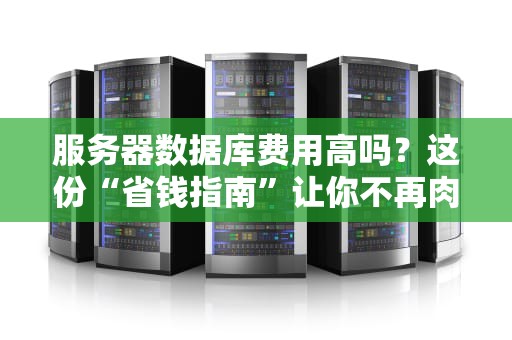服务器数据库费用高吗？这份“省钱指南”让你不再肉疼！