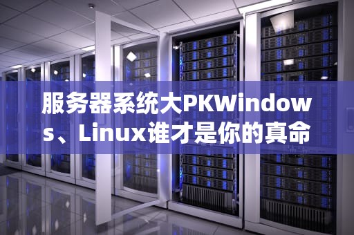 服务器系统大PKWindows、Linux谁才是你的真命天子？