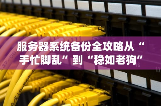 服务器系统备份全攻略从“手忙脚乱”到“稳如老狗”的终极指南
