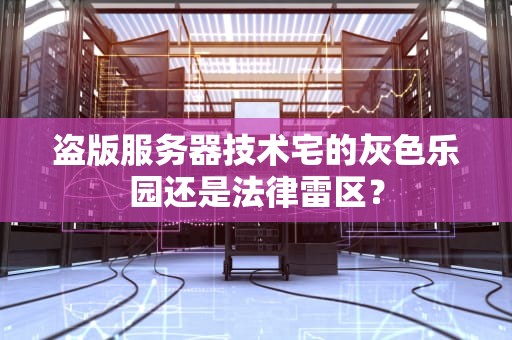 盗版服务器技术宅的灰色乐园还是法律雷区？