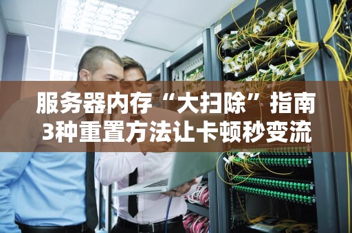 服务器内存“大扫除”指南3种重置方法让卡顿秒变流畅！