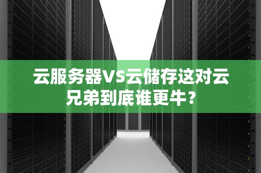 云服务器VS云储存这对云兄弟到底谁更牛？