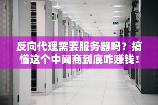 反向代理需要服务器吗？搞懂这个中间商到底咋赚钱！