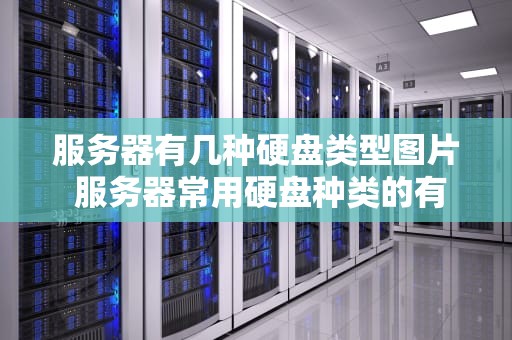 服务器有几种硬盘类型图片 服务器常用硬盘种类的有？