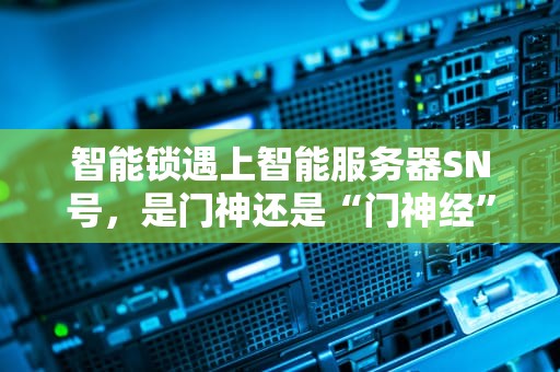 智能锁遇上智能服务器SN号，是门神还是“门神经”？揭秘背后的黑科技！