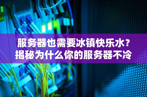 服务器也需要冰镇快乐水？揭秘为什么你的服务器不冷却会中暑！