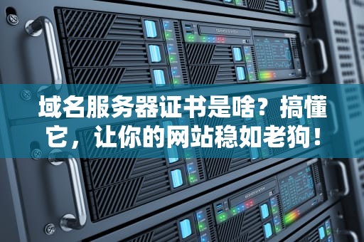 域名服务器证书是啥？搞懂它，让你的网站稳如老狗！
