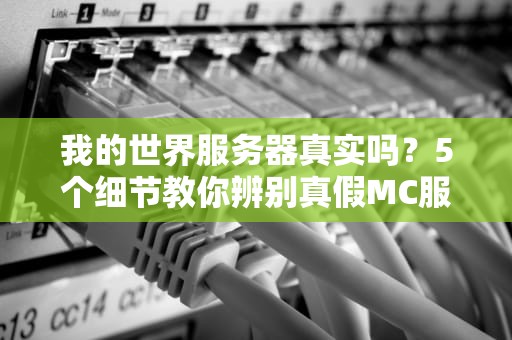 我的世界服务器真实吗？5个细节教你辨别真假MC服！