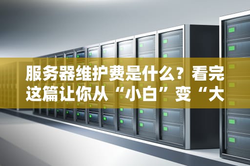 服务器维护费是什么？看完这篇让你从“小白”变“大神”！（附省钱秘籍）