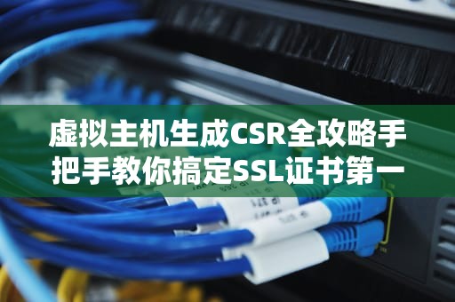 虚拟主机生成CSR全攻略手把手教你搞定SSL证书第一步！