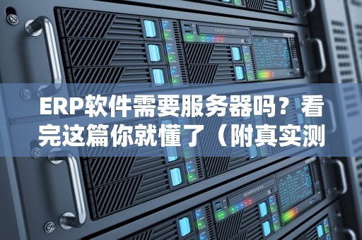 ERP软件需要服务器吗？看完这篇你就懂了（附真实测评数据）