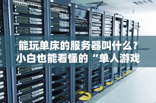 能玩单床的服务器叫什么？小白也能看懂的“单人游戏服务器”指南！