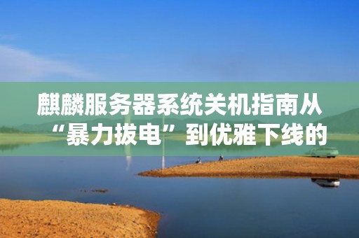 麒麟服务器系统关机指南从“暴力拔电”到优雅下线的正确姿势