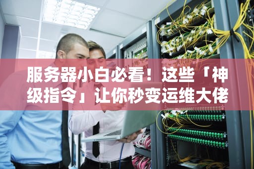 服务器小白必看！这些「神级指令」让你秒变运维大佬
