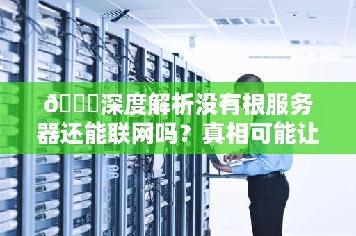🌍深度解析没有根服务器还能联网吗？真相可能让你大吃一惊！
