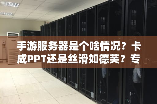 手游服务器是个啥情况？卡成PPT还是丝滑如德芙？专业测评博主带你一探究竟！