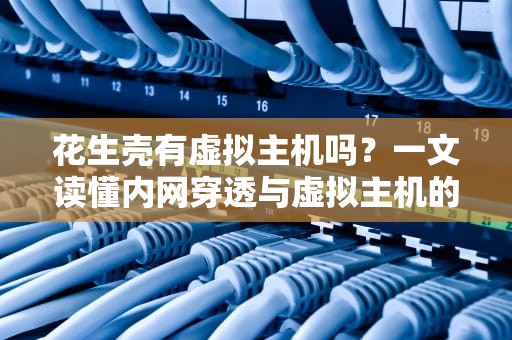 花生壳有虚拟主机吗？一文读懂内网穿透与虚拟主机的区别！