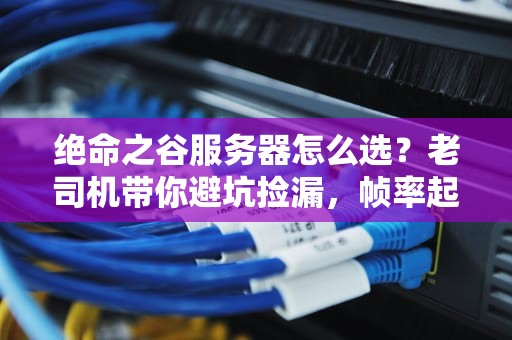 绝命之谷服务器怎么选？老司机带你避坑捡漏，帧率起飞不卡顿！