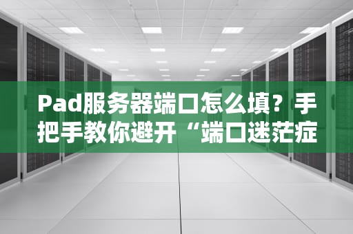 Pad服务器端口怎么填？手把手教你避开“端口迷茫症”！