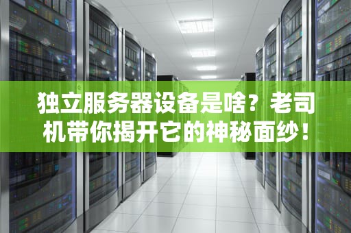 独立服务器设备是啥？老司机带你揭开它的神秘面纱！