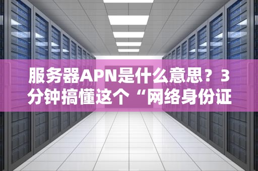 服务器APN是什么意思？3分钟搞懂这个“网络身份证”的妙用！