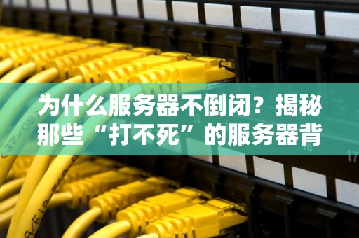 为什么服务器不倒闭？揭秘那些“打不死”的服务器背后的黑科技！